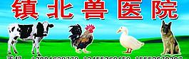 鎮(zhèn)北獸醫(yī)院圖片