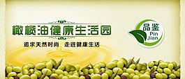 網(wǎng)頁(yè)橄欖油海報(bào)圖片