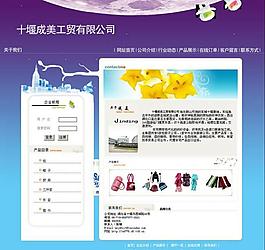 中文網(wǎng)站模版圖片