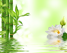 水中花 竹子