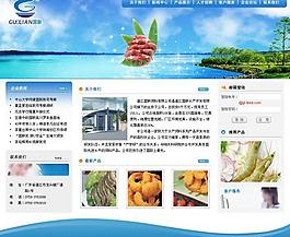 中文網(wǎng)站模版圖片