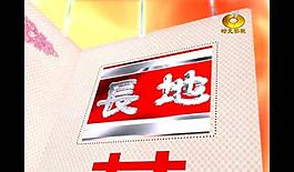 婚禮視頻素材圖片