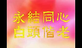 婚禮視頻素材圖片
