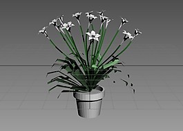 3DMAX室內(nèi)植物
