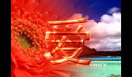 婚禮視頻素材圖片