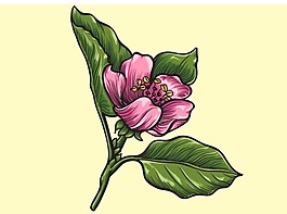 花