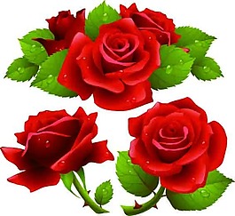 玫瑰花矢量圖
