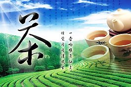 茶園