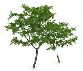 植物模型素材