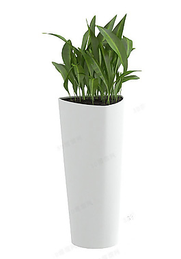 花卉盆栽模型