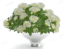草本花卉模型