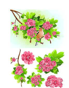 杜鵑花