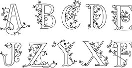 字母