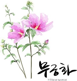花边素材