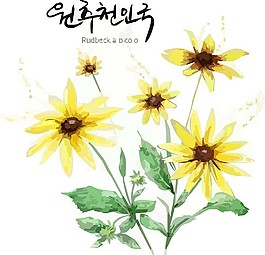 時尚花紋