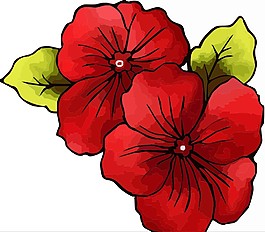 玫瑰花
