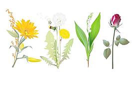花卉插圖矢量素材