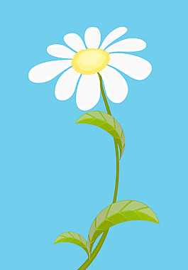 花白色周年