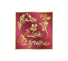 金色華麗花紋矢量圖012