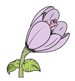 復(fù)古郁金香矢量
