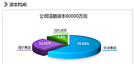 資本PPT模板