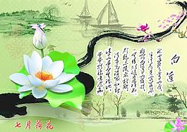七月荷花白蓮海報
