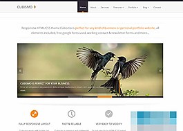 簡潔大圖幻燈線條式html5網(wǎng)站模板