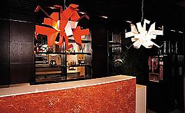 室內(nèi)時(shí)尚奢華家居展示圖片