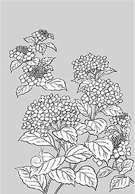 花朵葉子矢量素材