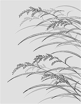麥穗成熟矢量素材