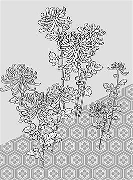 菊花多邊格矢量素材