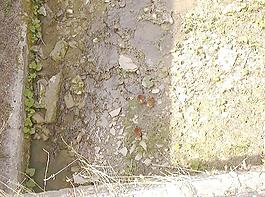 60605_混凝土_綜合