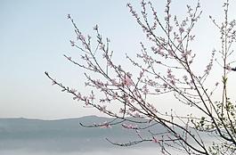 陽春三月
