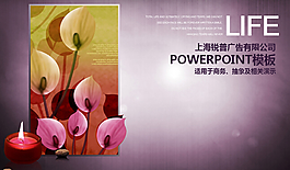 高贵紫瑰