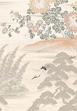 34105_布紋_國(guó)外精美