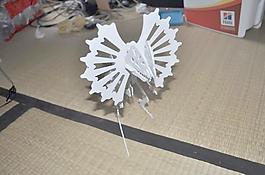 雙棘龍的3D益智，恐龍