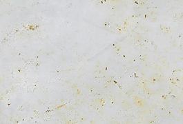 35559_金屬_綜合