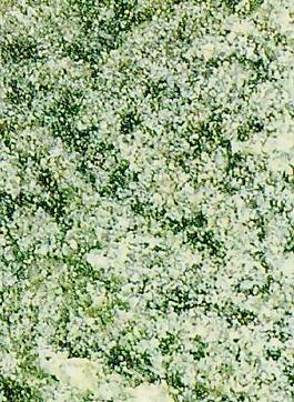 4190_石材_綜合