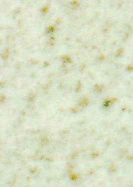 4025_石材_綜合