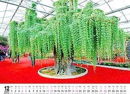 2010年臺歷12月