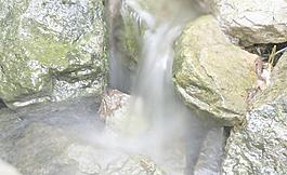 石头