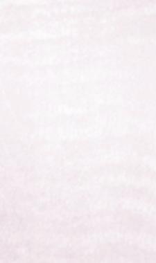 28198_木紋板材_耐火板
