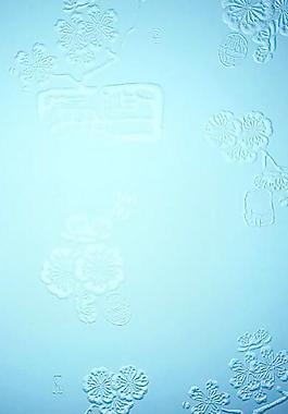 893_玻璃貼圖_機理