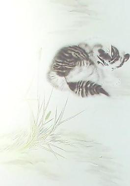 30304_玻璃貼圖_門窗玻