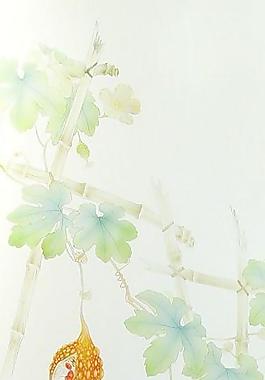 30081_玻璃貼圖_門窗玻