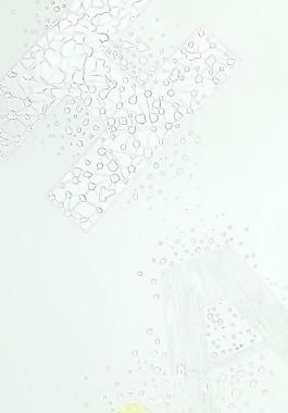 24_玻璃貼圖_門窗玻