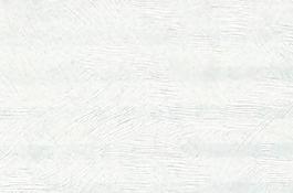 60966_布紋_素筒