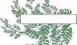 歐式潮流花紋矢量素材121