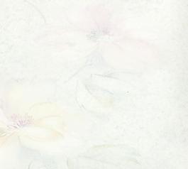 60784_布紋_絲繡