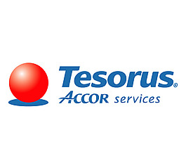 Tesorus logo設(shè)計欣賞 Tesorus旅游業(yè)標(biāo)志下載標(biāo)志設(shè)計欣賞